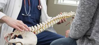 Picture of doctor with spine